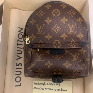 Louis Vuitton Palm Springs Mini Backpack